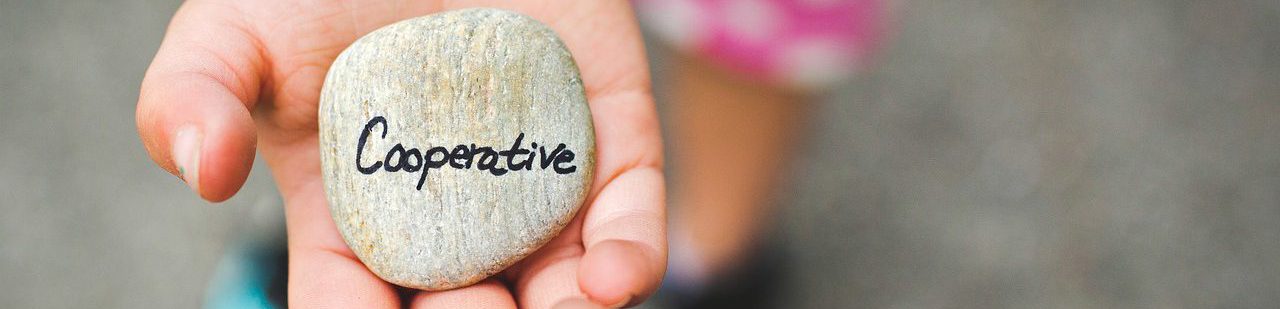 White Pine Library Cooperative Cooperation Sharing Advocating White Pine Library Cooperative Cooperation Sharing Advocating